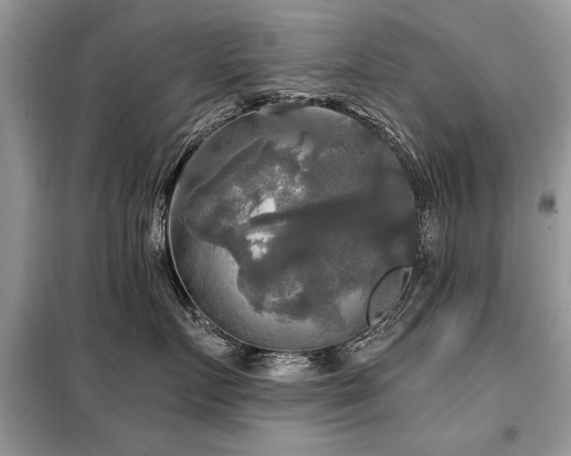 X0000099420719200805091242