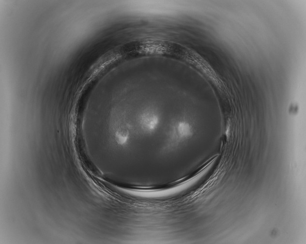 X0000099420722200805091242