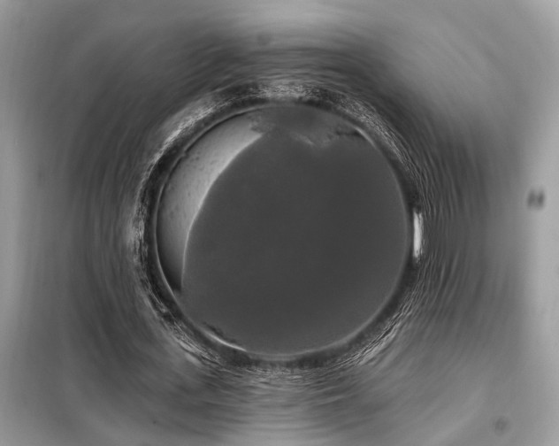 X0000099420723200805091242