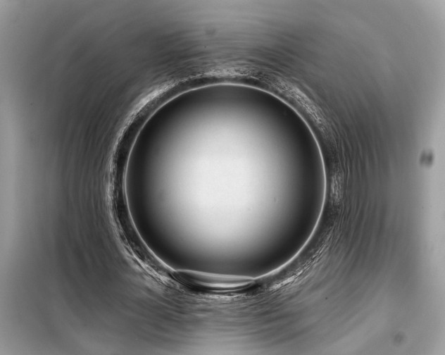 X0000099420724200805091242