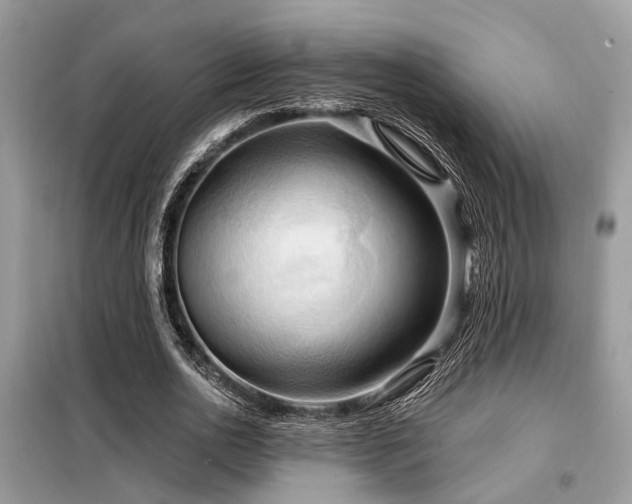 X0000099420726200805091242