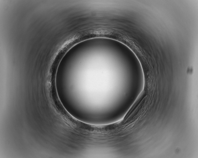 X0000099420727200805091242