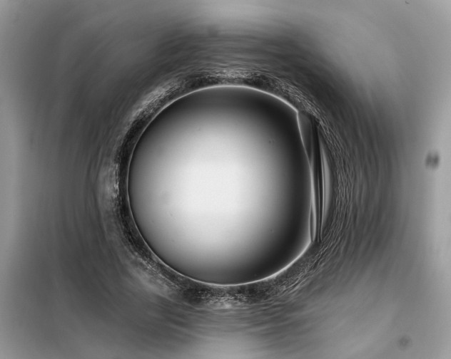 X0000099420731200805091242
