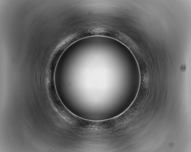 X0000099420732200805091242