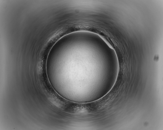 X0000099420735200805091242