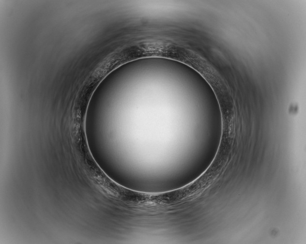 X0000099420737200805091242