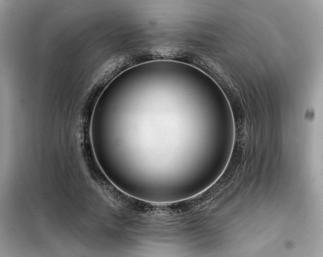 X0000099420738200805091242