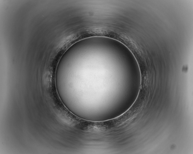 X0000099420739200805091242