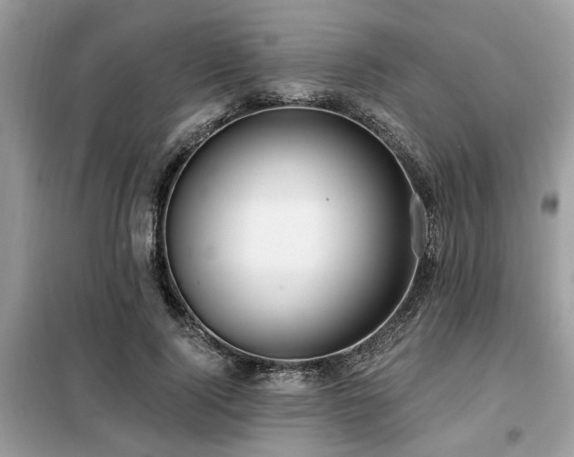X0000099420740200805091242