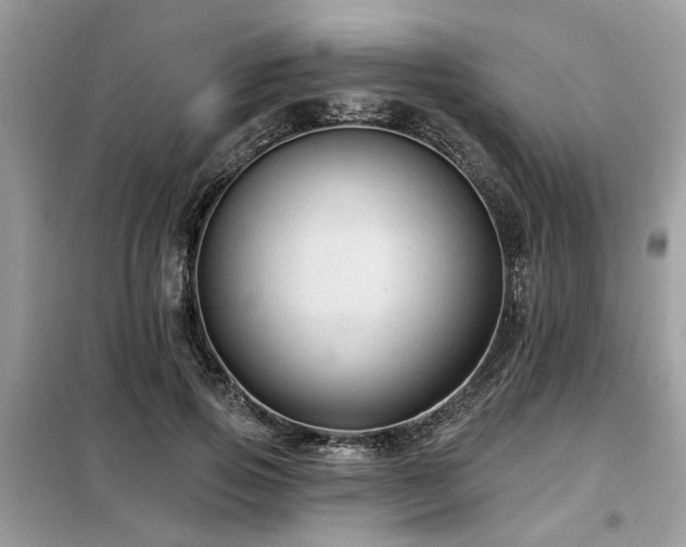 X0000099420741200805091242