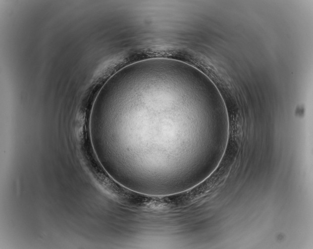 X0000099420742200805091242