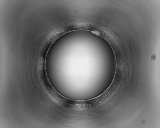 X0000099420744200805091242