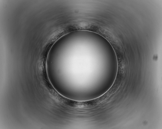 X0000099420746200805091242