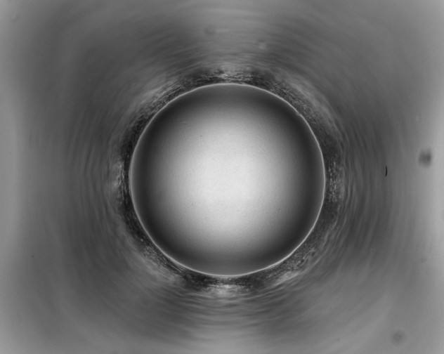 X0000099420748200805091242