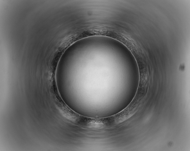X0000099420749200805091242