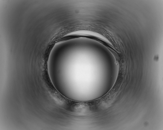 X0000099420750200805091242