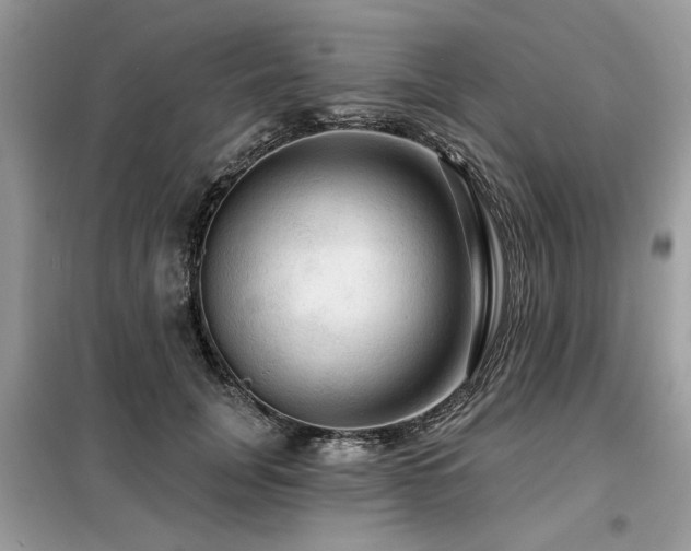 X0000099420751200805091242