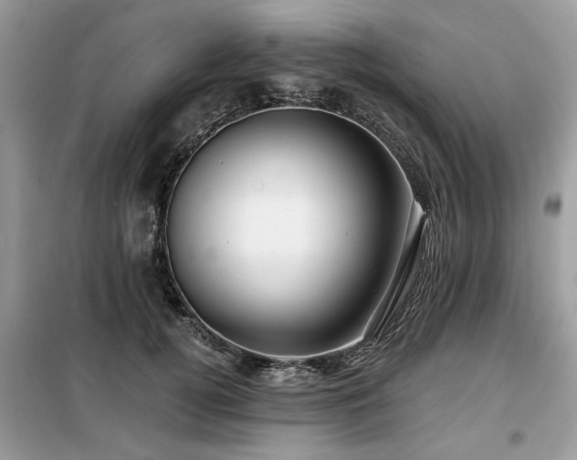 X0000099420752200805091242