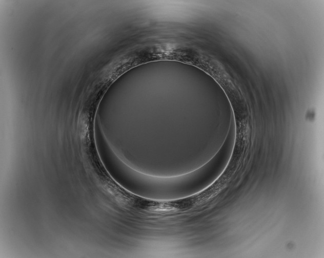 X0000099420754200805091242