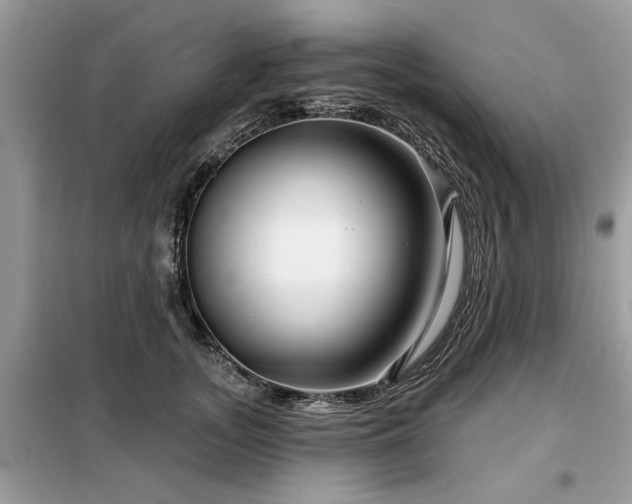 X0000099420755200805091242