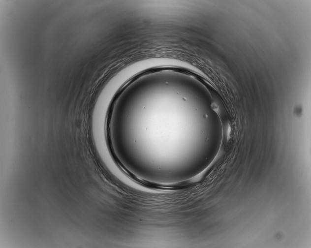 X0000099420756200805091242