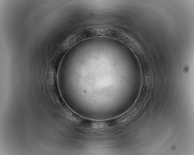 X0000099420757200805091242
