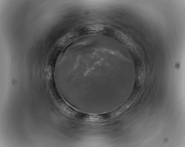 X0000099420758200805091242