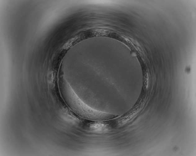 X0000099420759200805091242