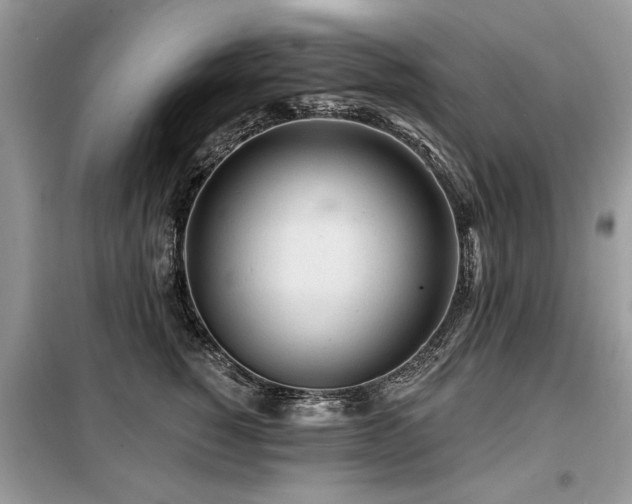 X0000099420760200805091242