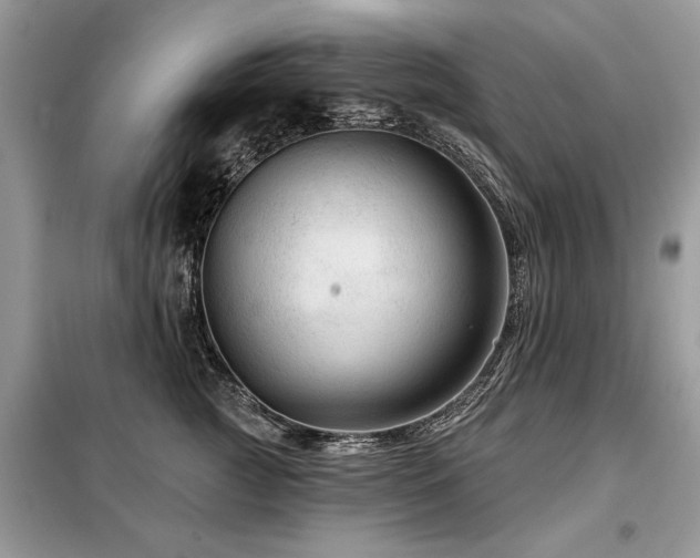 X0000099420761200805091242