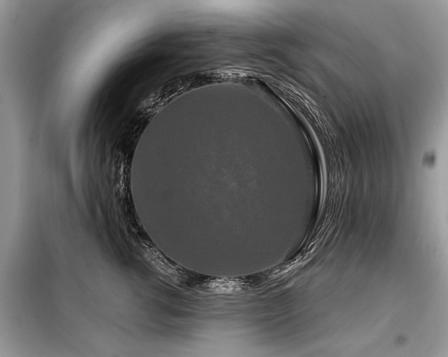 X0000099420762200805091242