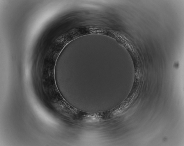 X0000099420763200805091242