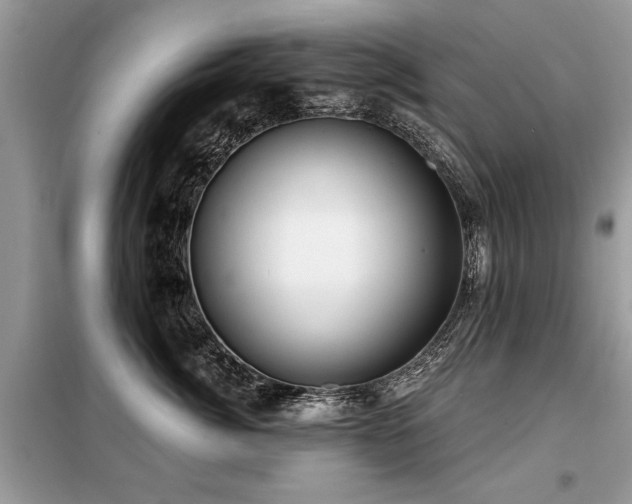 X0000099420764200805091242