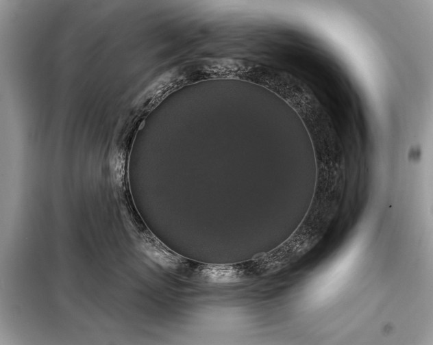 X0000099420767200805091242