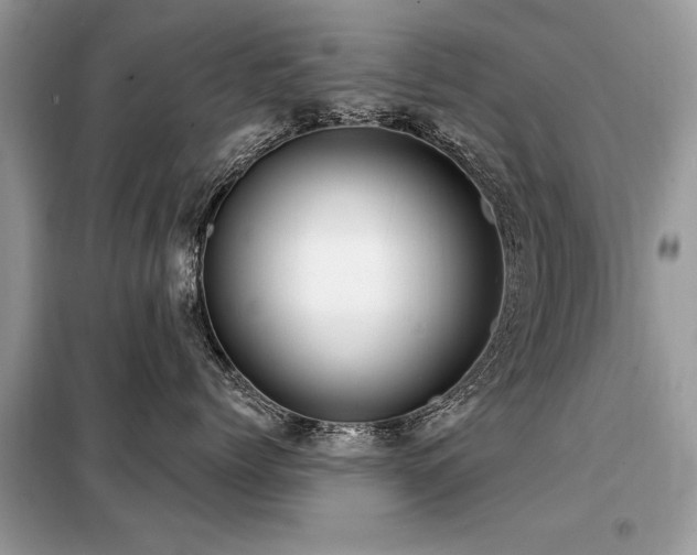 X0000099420768200805091242