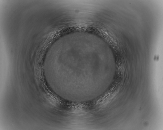 X0000099420769200805091242