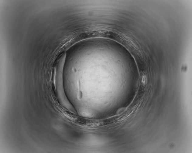 X0000099420771200805091242