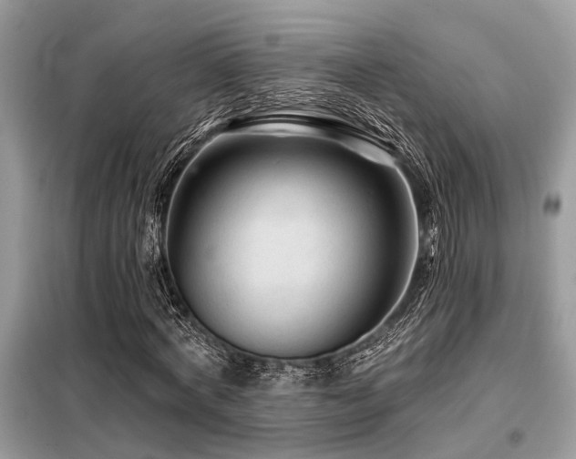X0000099420772200805091242