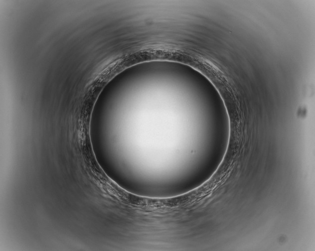 X0000099420774200805091242
