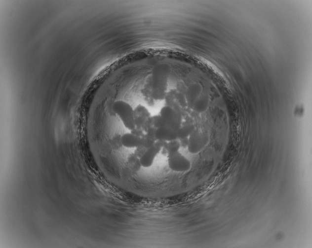 X0000099420775200805091242