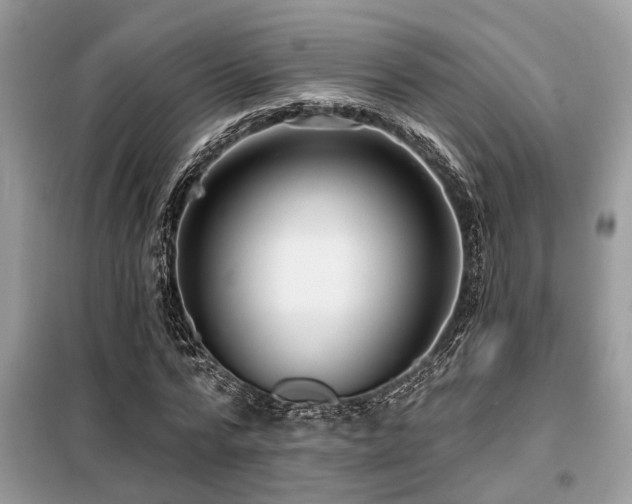 X0000099420776200805091242