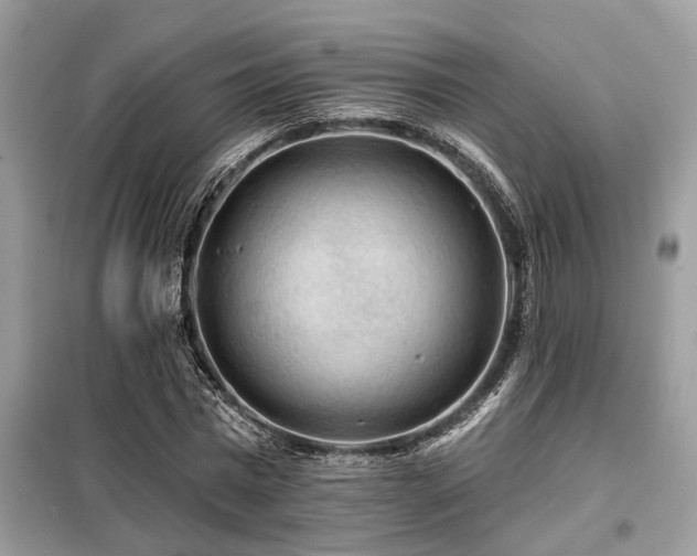 X0000099420777200805091242