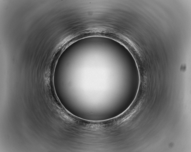 X0000099420778200805091242