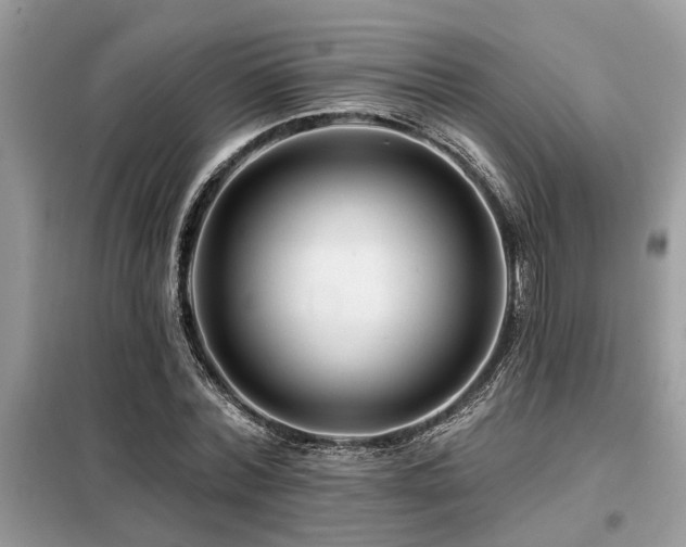 X0000099420780200805091242