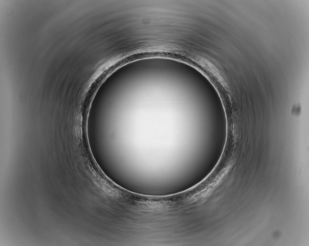 X0000099420781200805091242