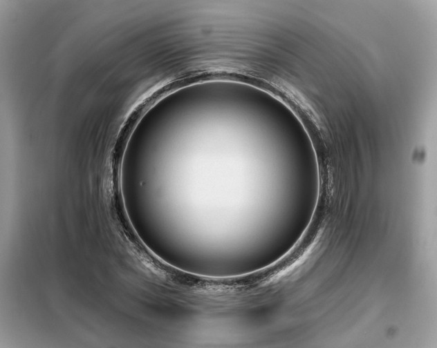 X0000099420782200805091242