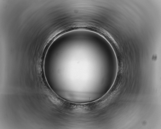 X0000099420786200805091242