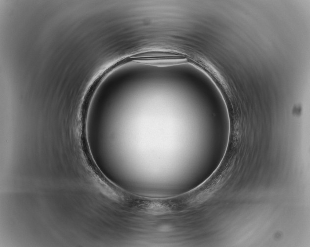 X0000099420787200805091242