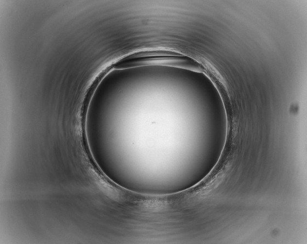 X0000099420789200805091241