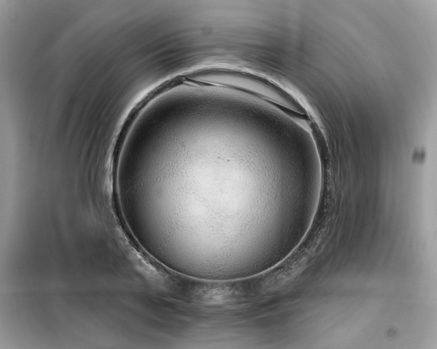 X0000099420791200805091241